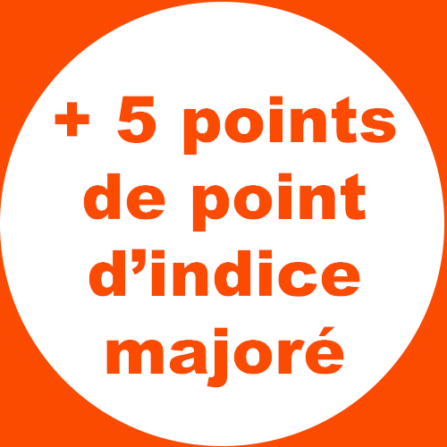 Simulateur de calcul des 5 points d’indice majoré au 1er Janvier 2024